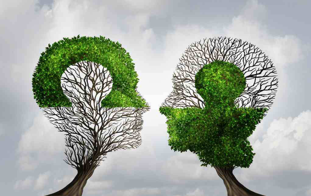 Twee bomen die symbool staan voor relatiecoaching